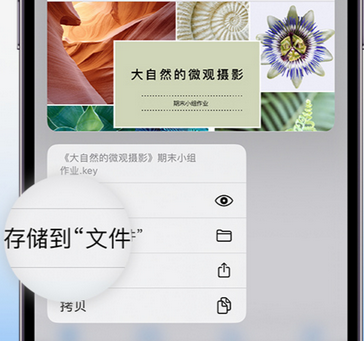 多伦apple维修中心分享iPhone文件应用中存储和找到下载文件