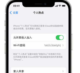 多伦apple服务站点分享iPhone上个人热点丢失了怎么办 