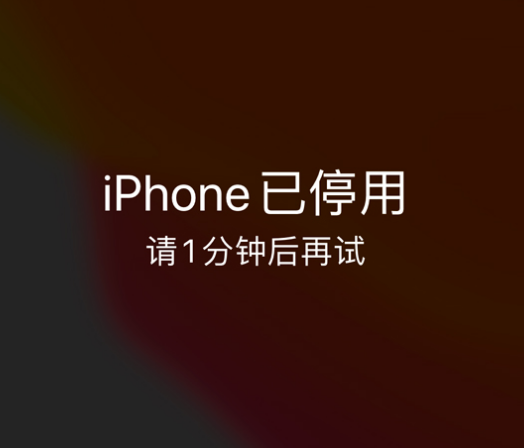 多伦苹果手机维修分享:iPhone 显示“不可用”或“已停用”怎么办？还能保留数据吗？ 