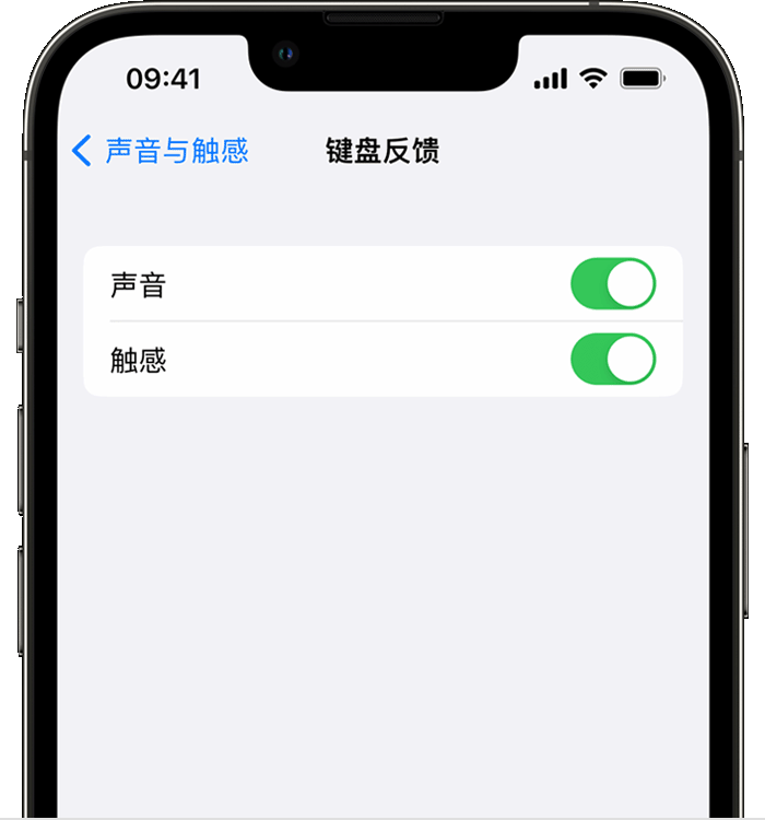 多伦苹果14维修店分享如何在 iPhone 14 机型中使用触感键盘 