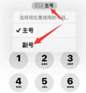 多伦苹果14维修店分享iPhone 14 Pro Max使用副卡打电话的方法 