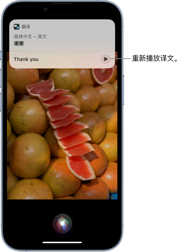 多伦苹果14维修分享 iPhone 14 机型中使用 Siri：了解 Siri 能帮你做什么 