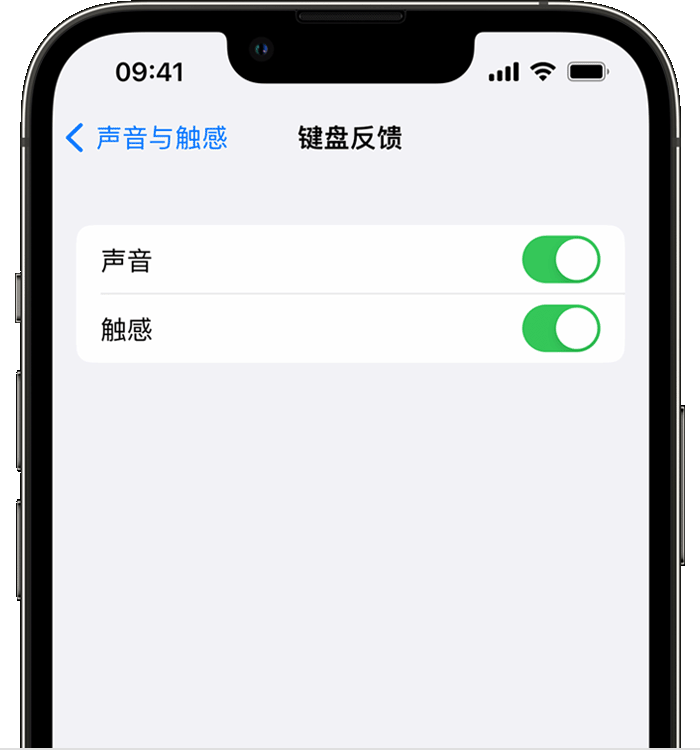 多伦苹果14维修分享iPhone 14 系列机型如何开启键盘声音或触感反馈 