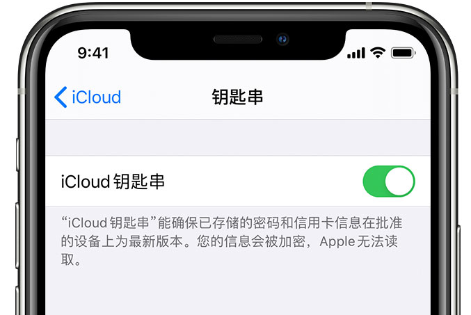 多伦苹果手机维修分享在 iPhone 上开启 iCloud 钥匙串之后会储存哪些信息 