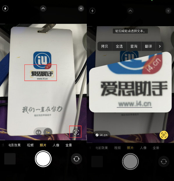 多伦苹果手机维修分享升级iOS 16后如何通过相机翻译文本 