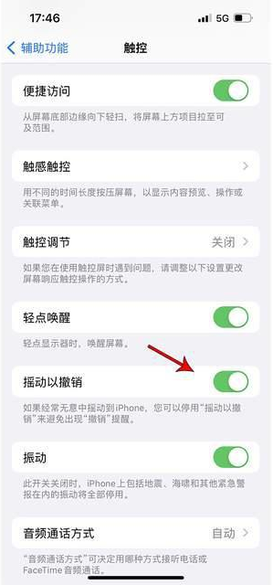 多伦苹果手机维修分享iPhone手机如何设置摇一摇删除文字 