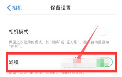 多伦苹果13维修分享iPhone13拍照有绿点是怎么回事 