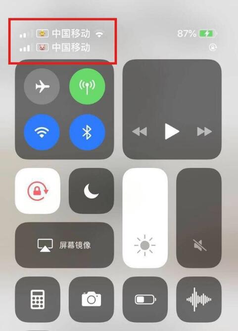 多伦苹果手机维修分享为 iPhone 12 双卡设置标签 
